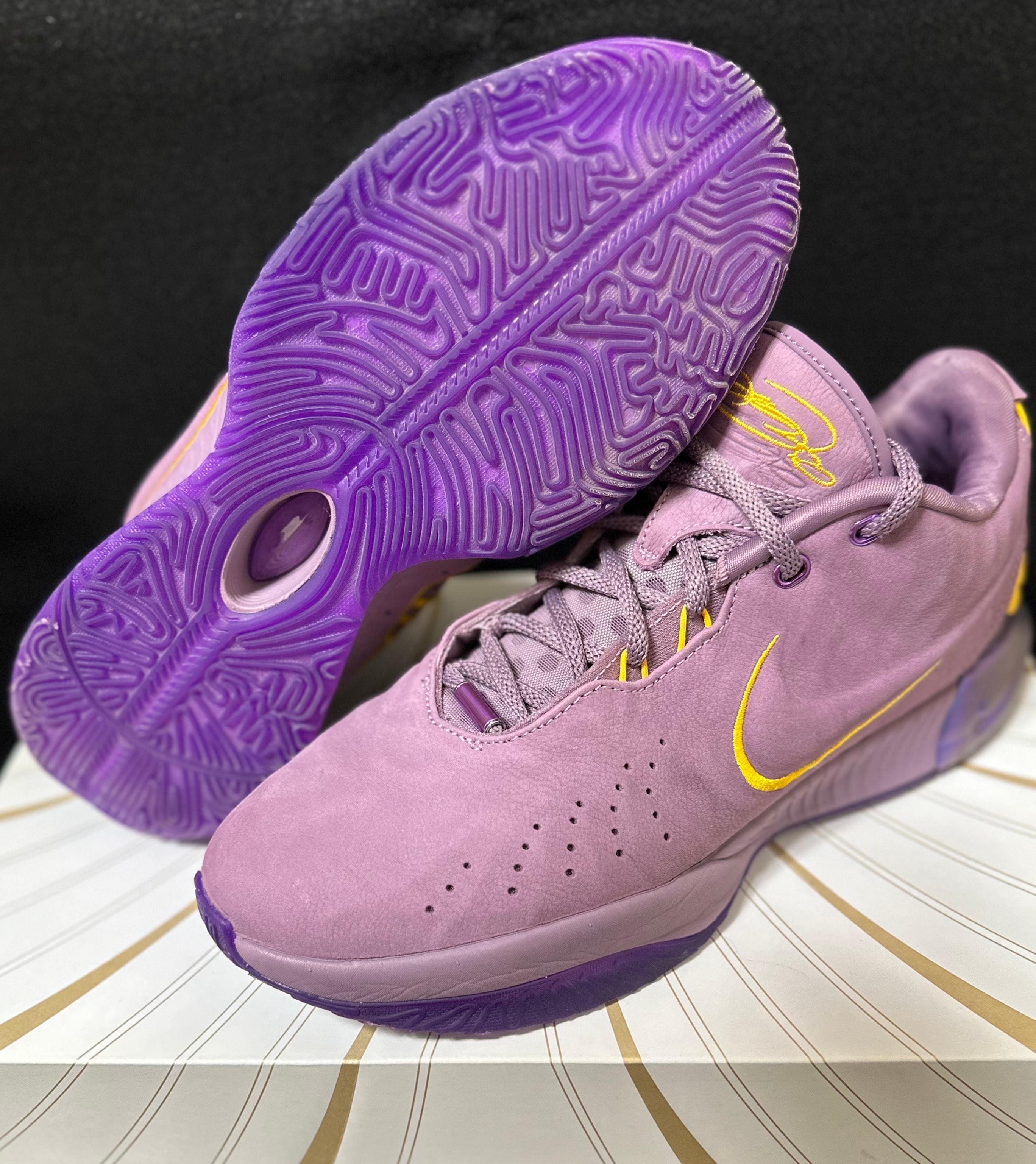ナイキ レブロン21 "パープルレイン"