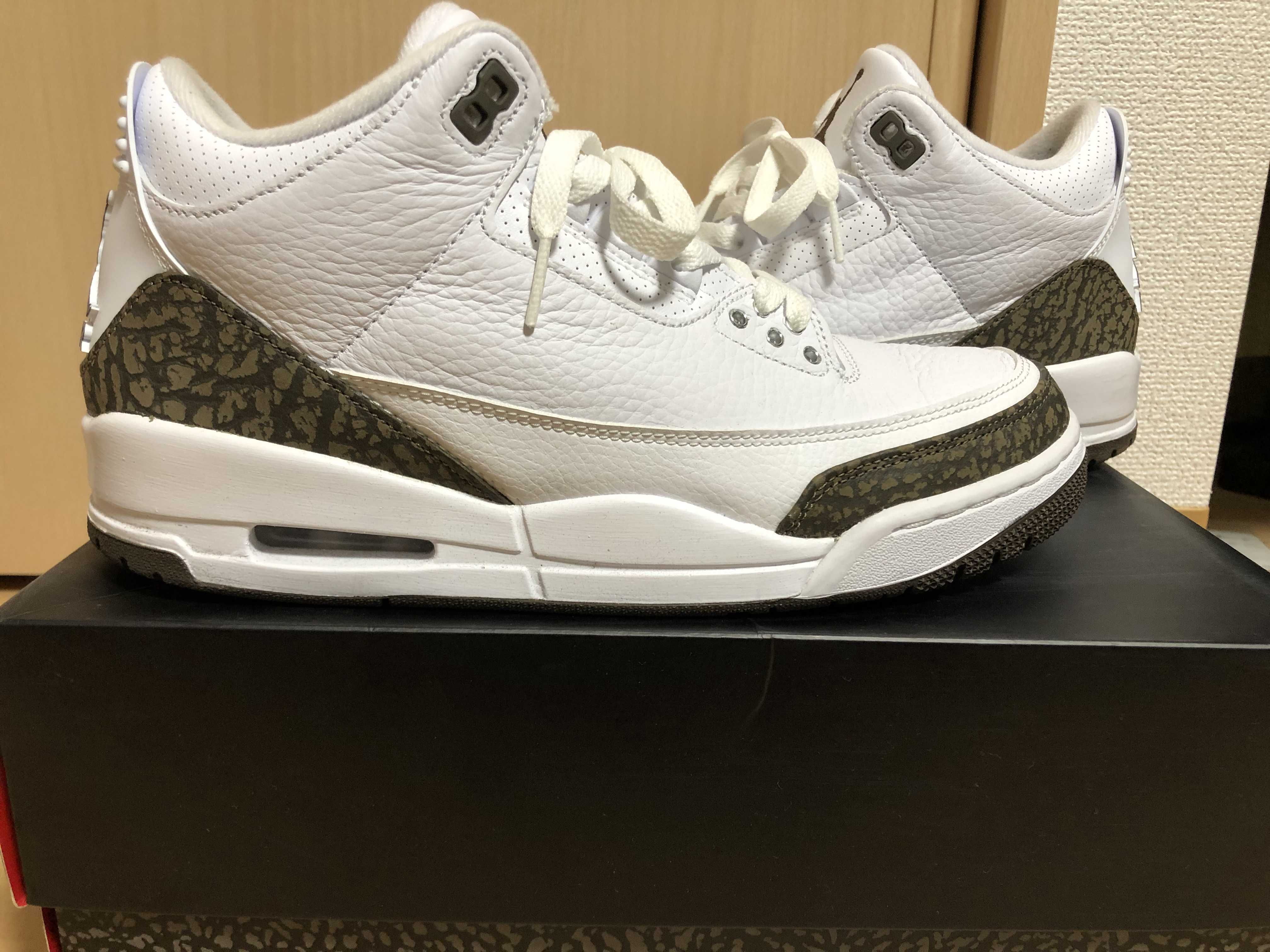 Nike Air Jordan 3 Retro "Mocha" (2018)