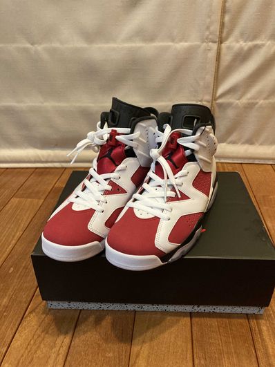 Nike Air Jordan 6 "Carmine" (2021)