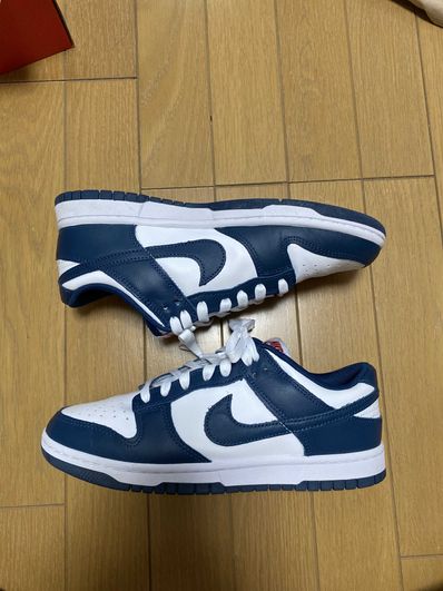 Nike Dunk Low "Valerian Blue"