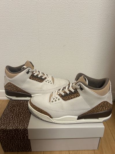Nike Air Jordan 3 Retro "Orewood Brown"