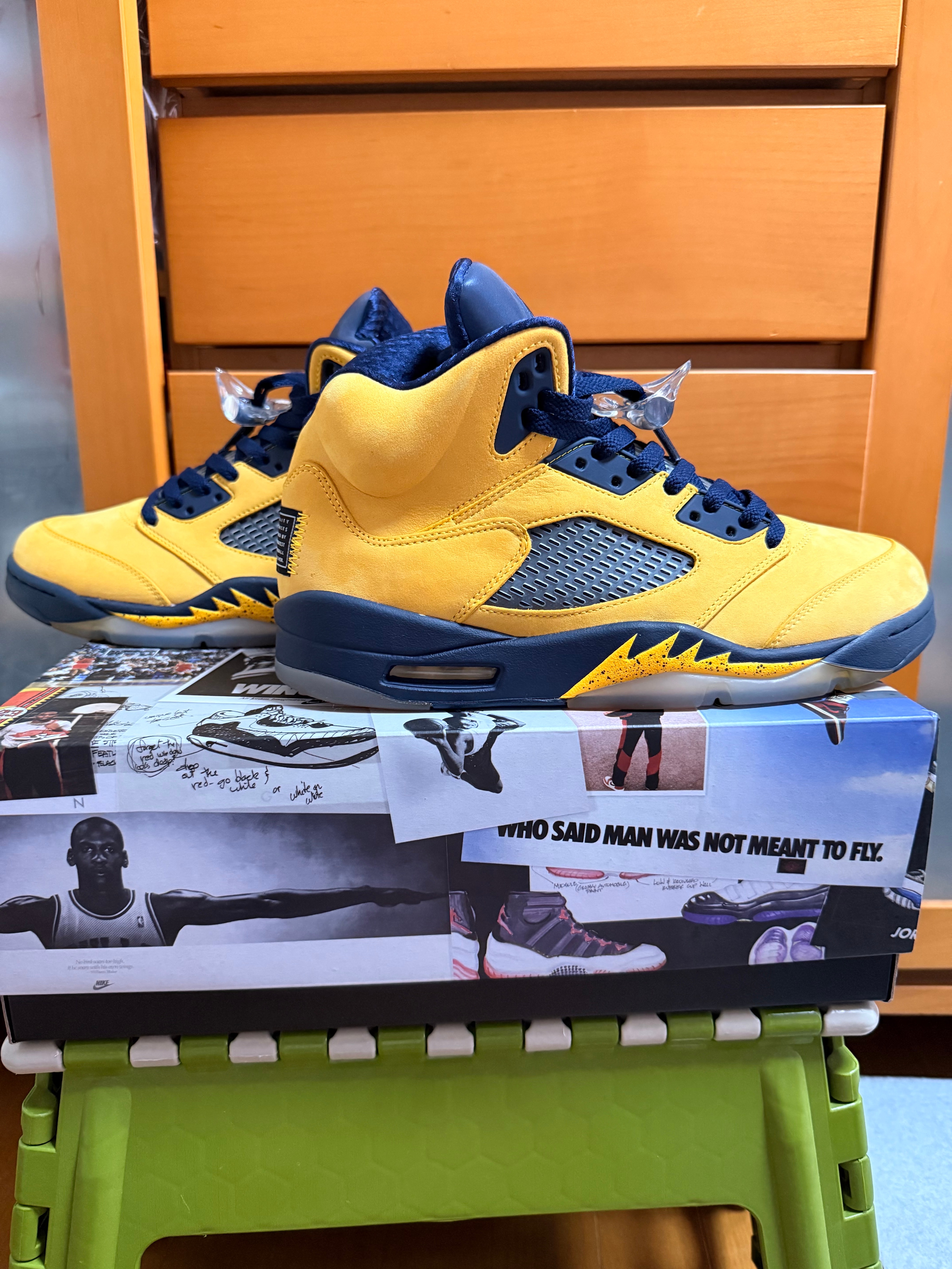 Nike Air Jordan 5 "Michigan"