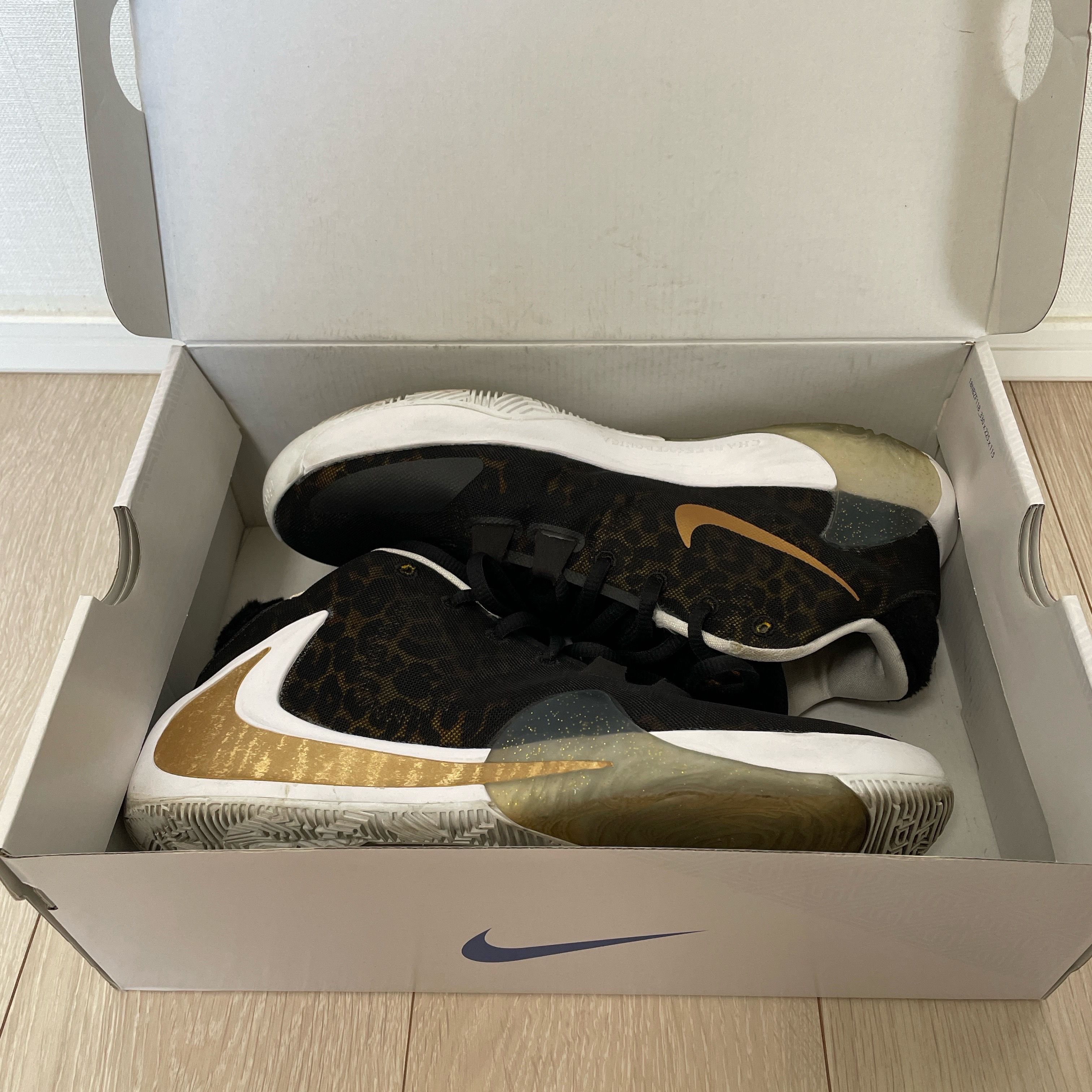 ナイキ ズーム フリーク1 "カミングトゥアメリカ"