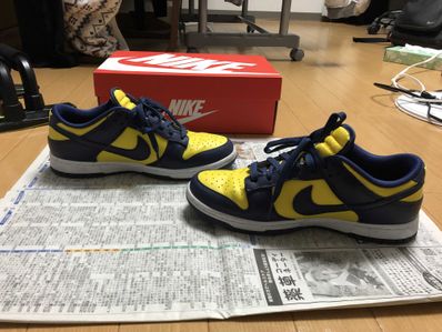 Nike Dunk Low "Michigan"