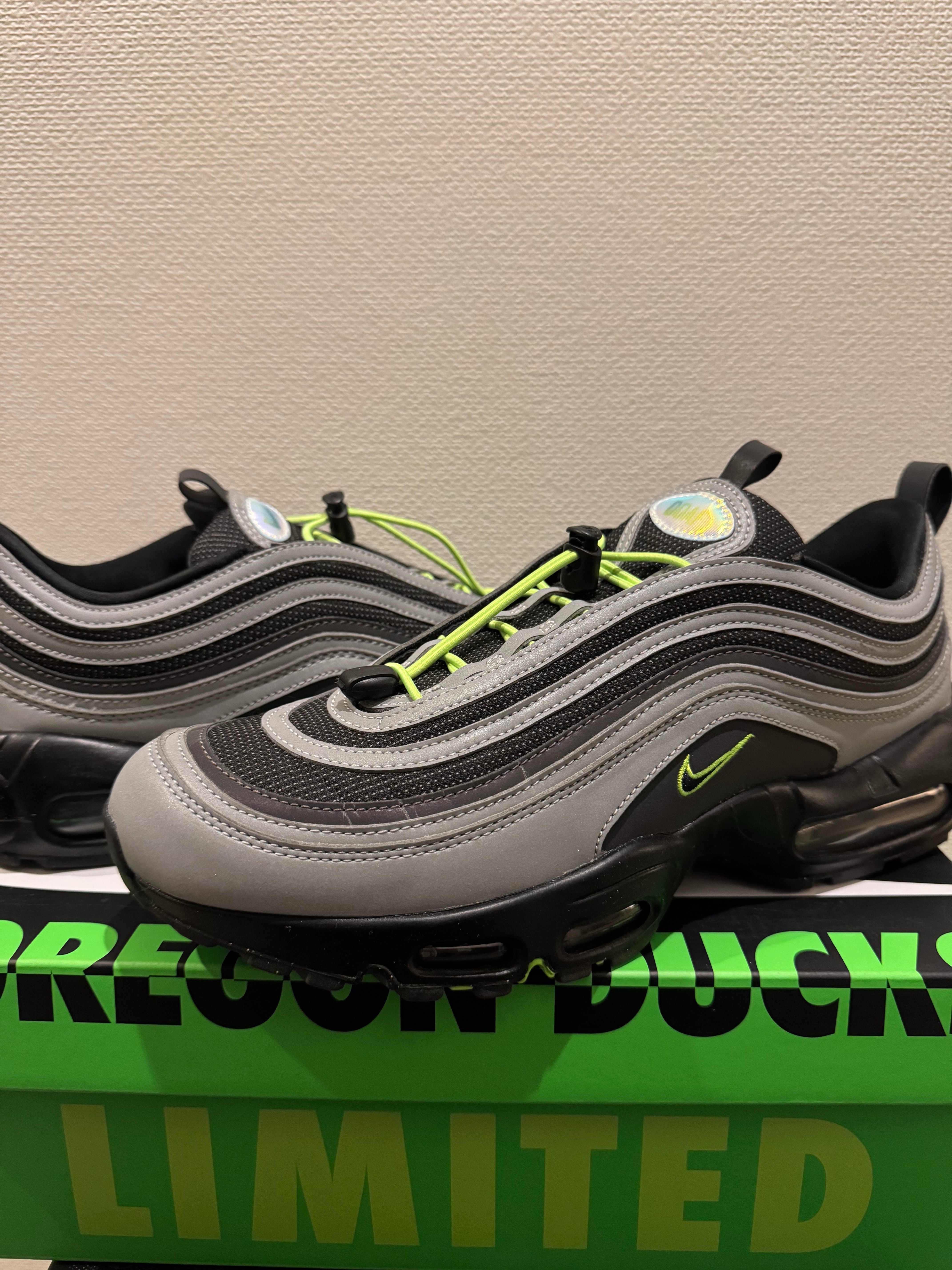 Division Street × Nike Air Max 95/97 "Ducks of a Feather/Lightning"