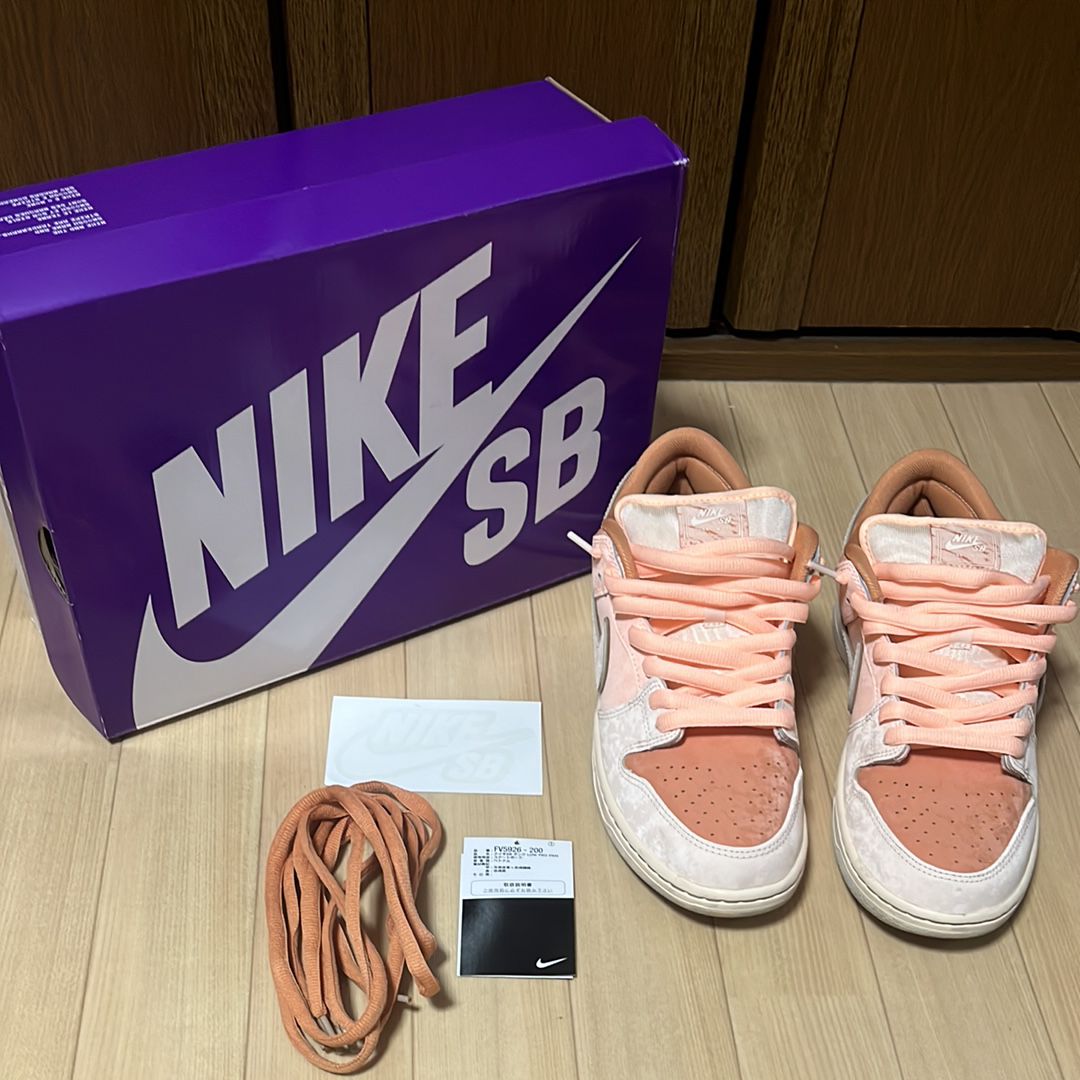 Nike SB Dunk Low Pro PRM "Crimson Tint and Amber Brown/Trocadero Gardens"