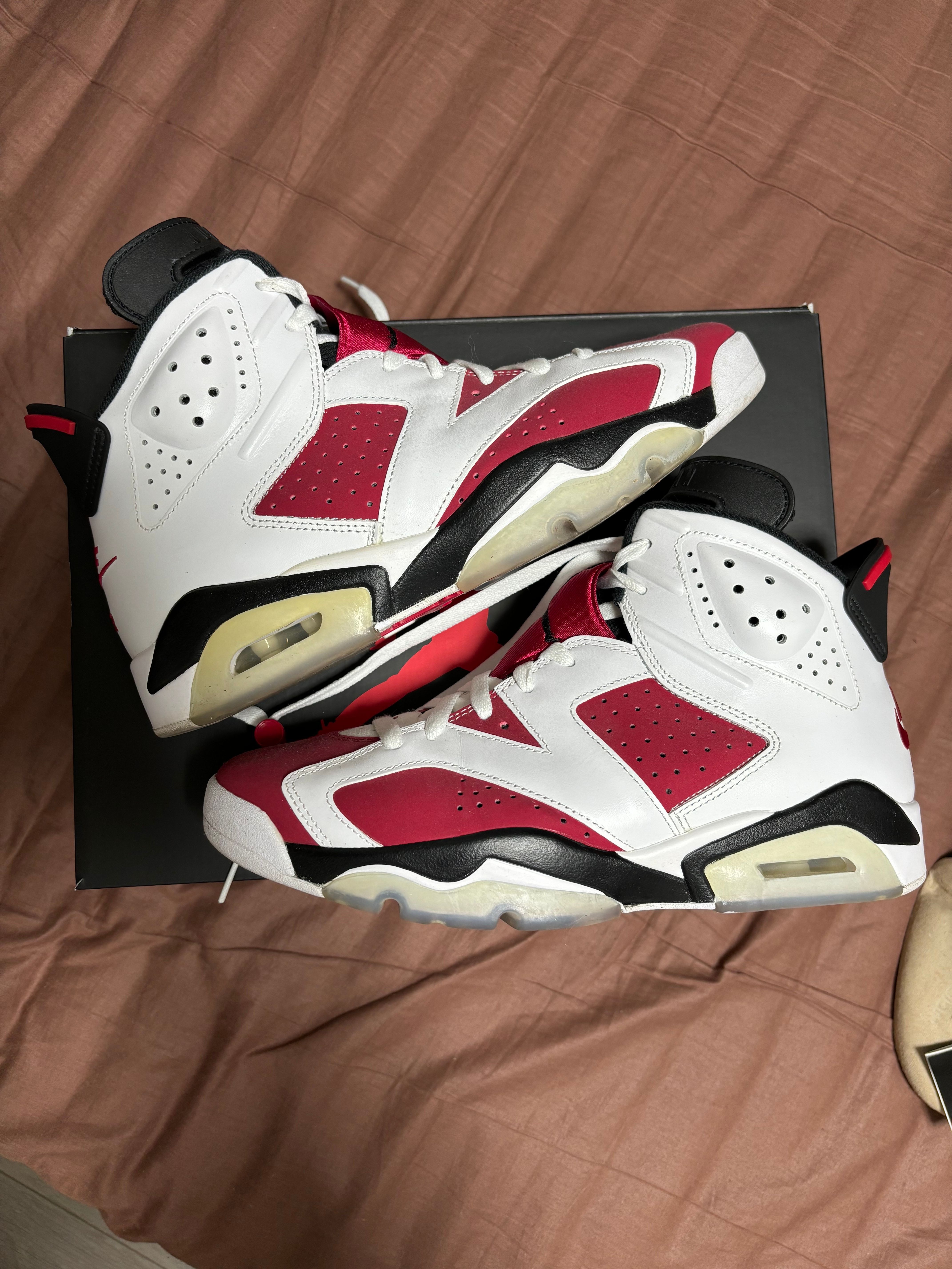 Nike Air Jordan 6 "Carmine" (2021)