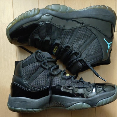 Nike Air Jordan 11 "Gamma" (2013)