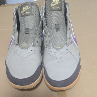 atmos × Nike LeBron 18 Low "Viotech"