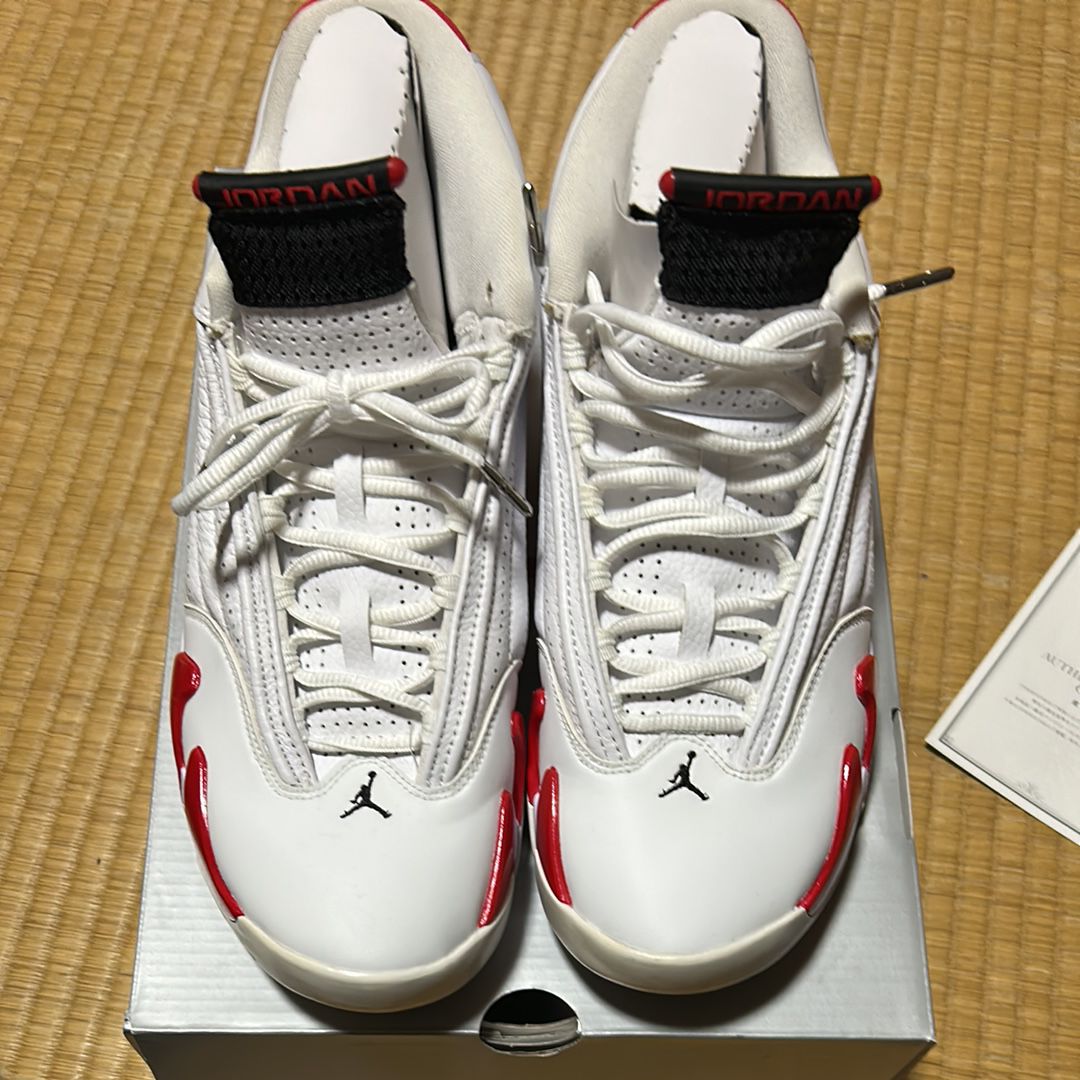 NIKE AIR JORDAN 14 RIP HAMILTON