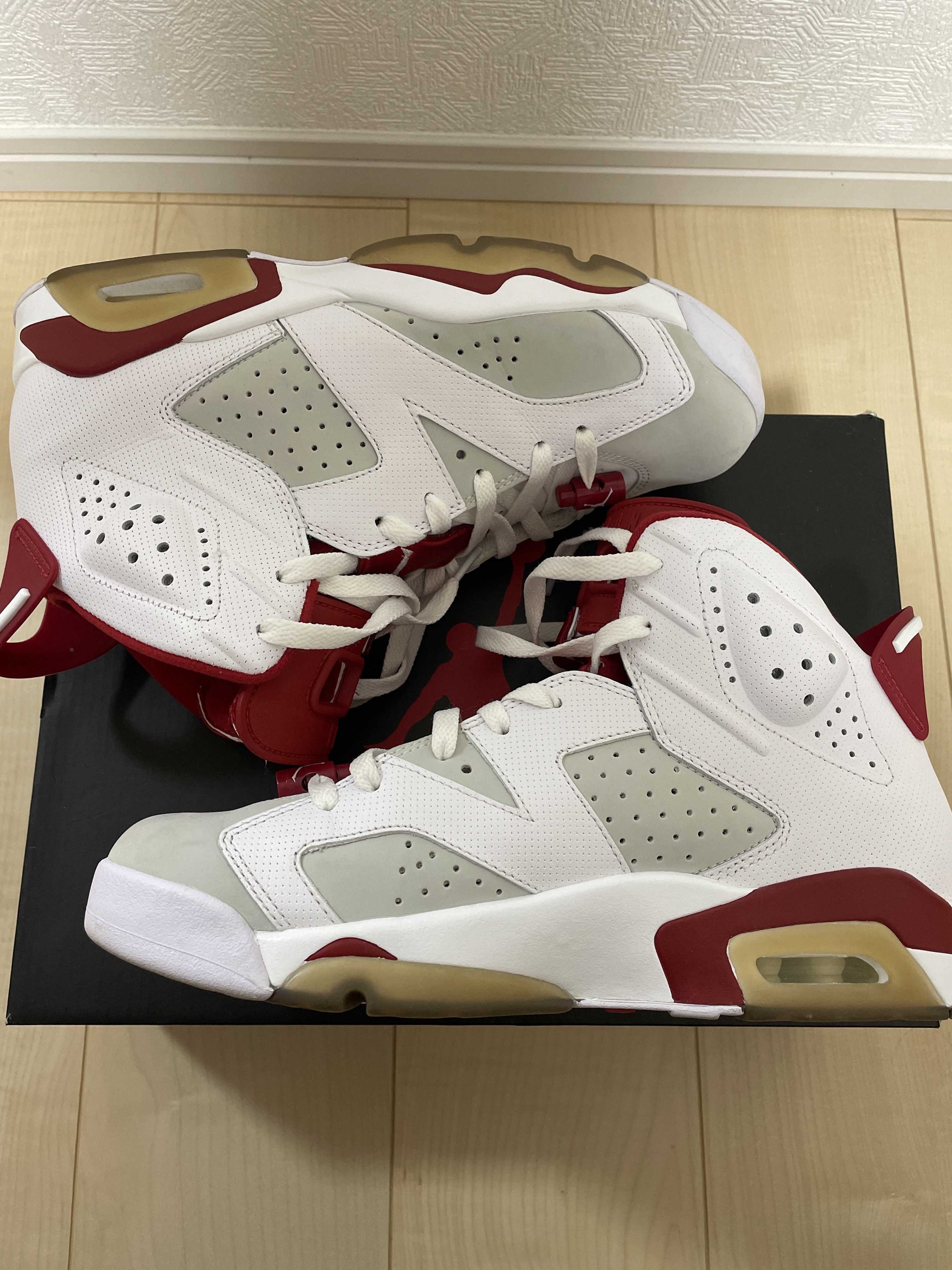 Nike Air Jordan 6 Retro "Altenate Hare"