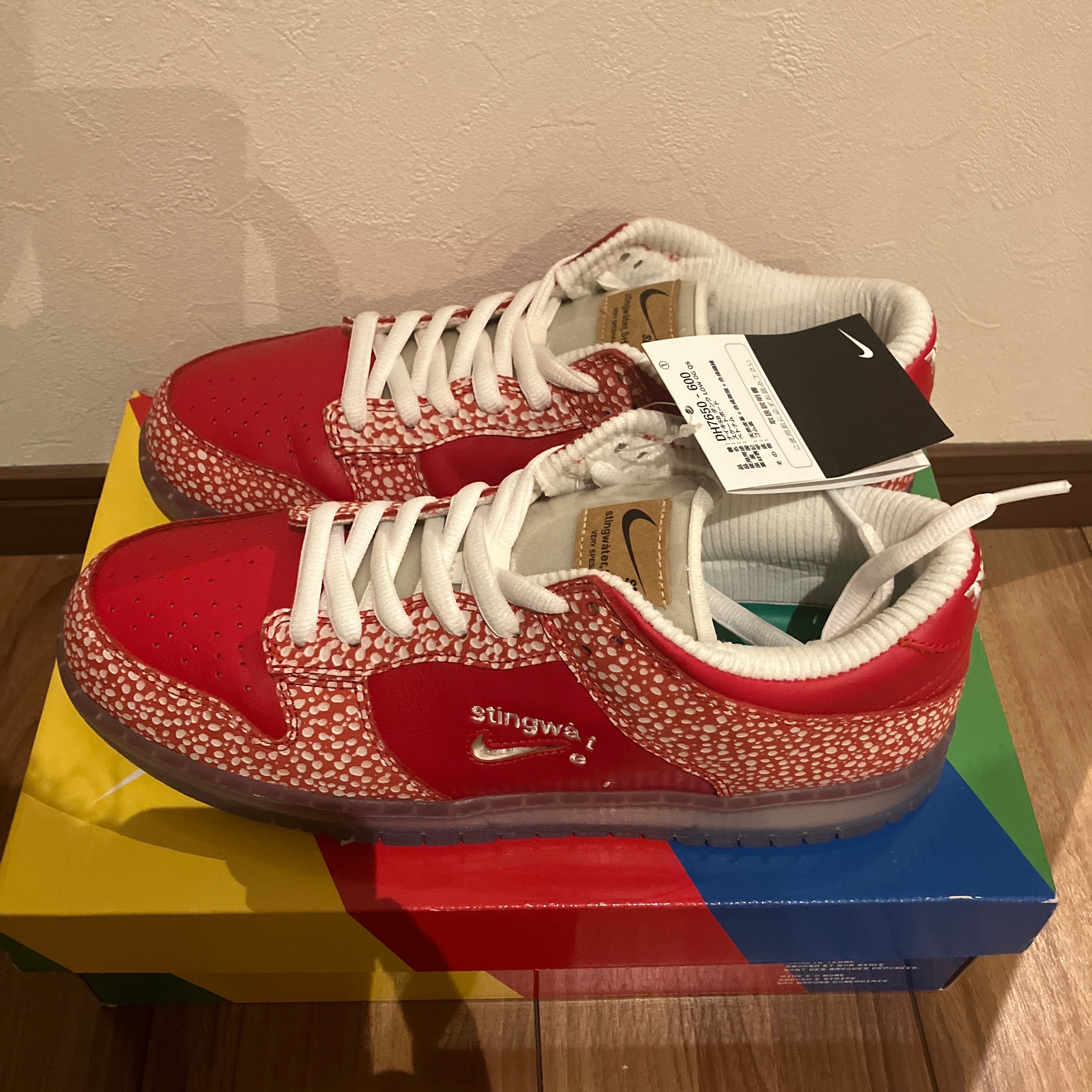 Stingwater × Nike SB Dunk Low "Magic Mushroom"