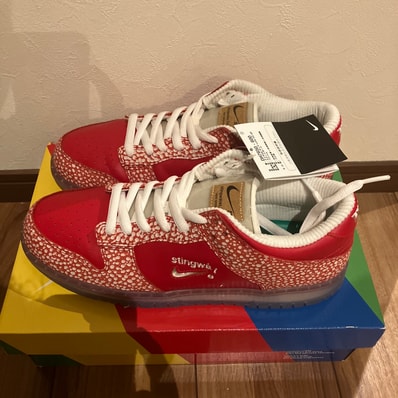 Stingwater × Nike SB Dunk Low "Magic Mushroom"