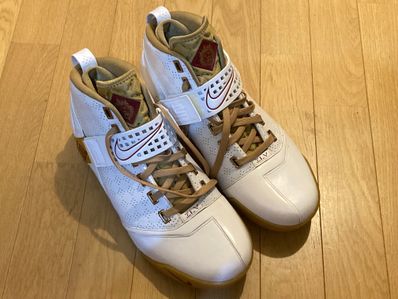 Nike LeBron 5 "White Crimson/Metallic Gold"