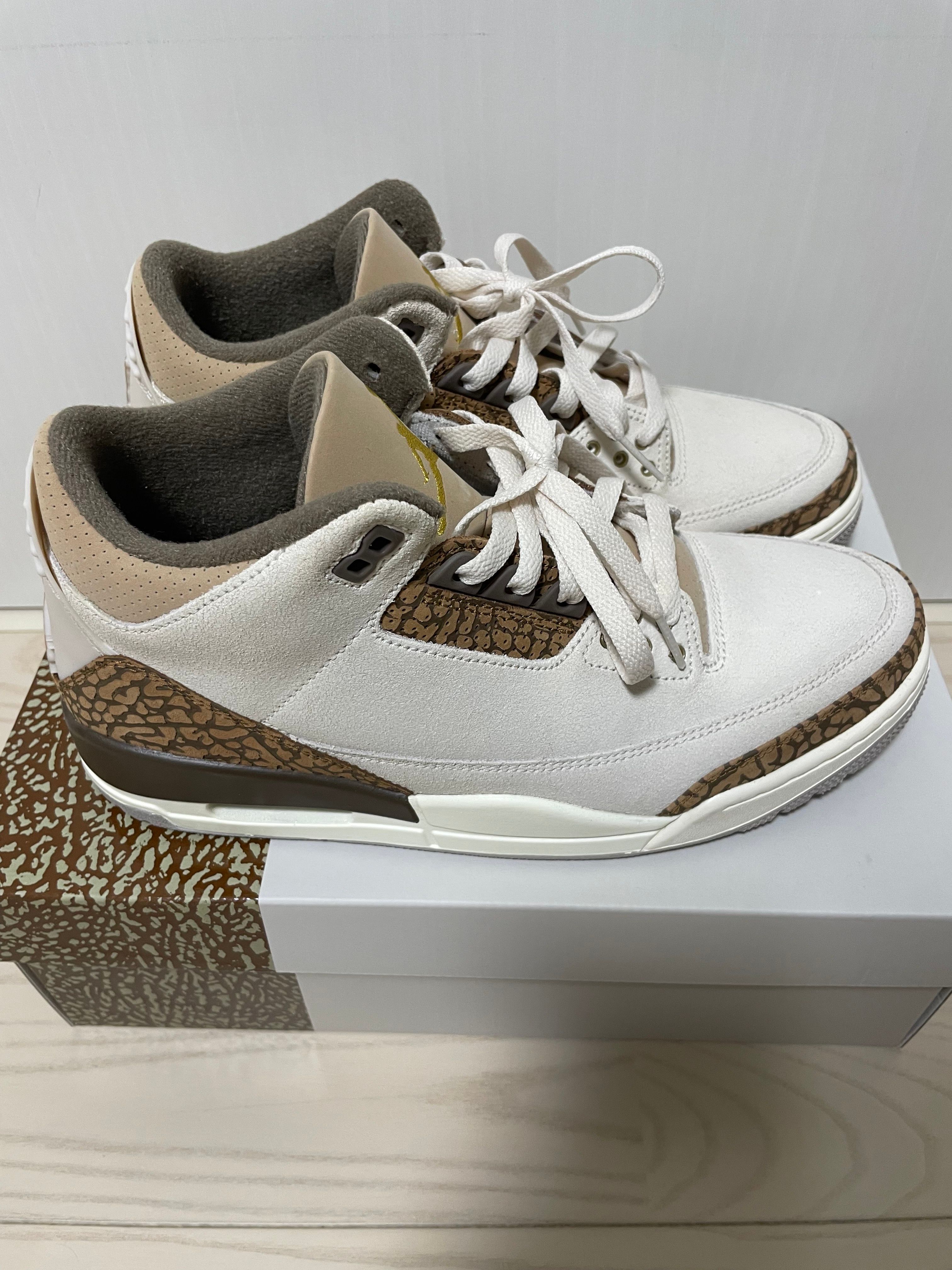 Nike Air Jordan 3 Retro "Orewood Brown"