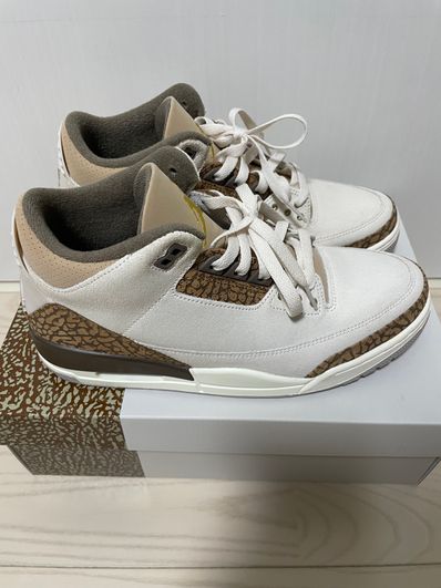 Nike Air Jordan 3 Retro "Orewood Brown"