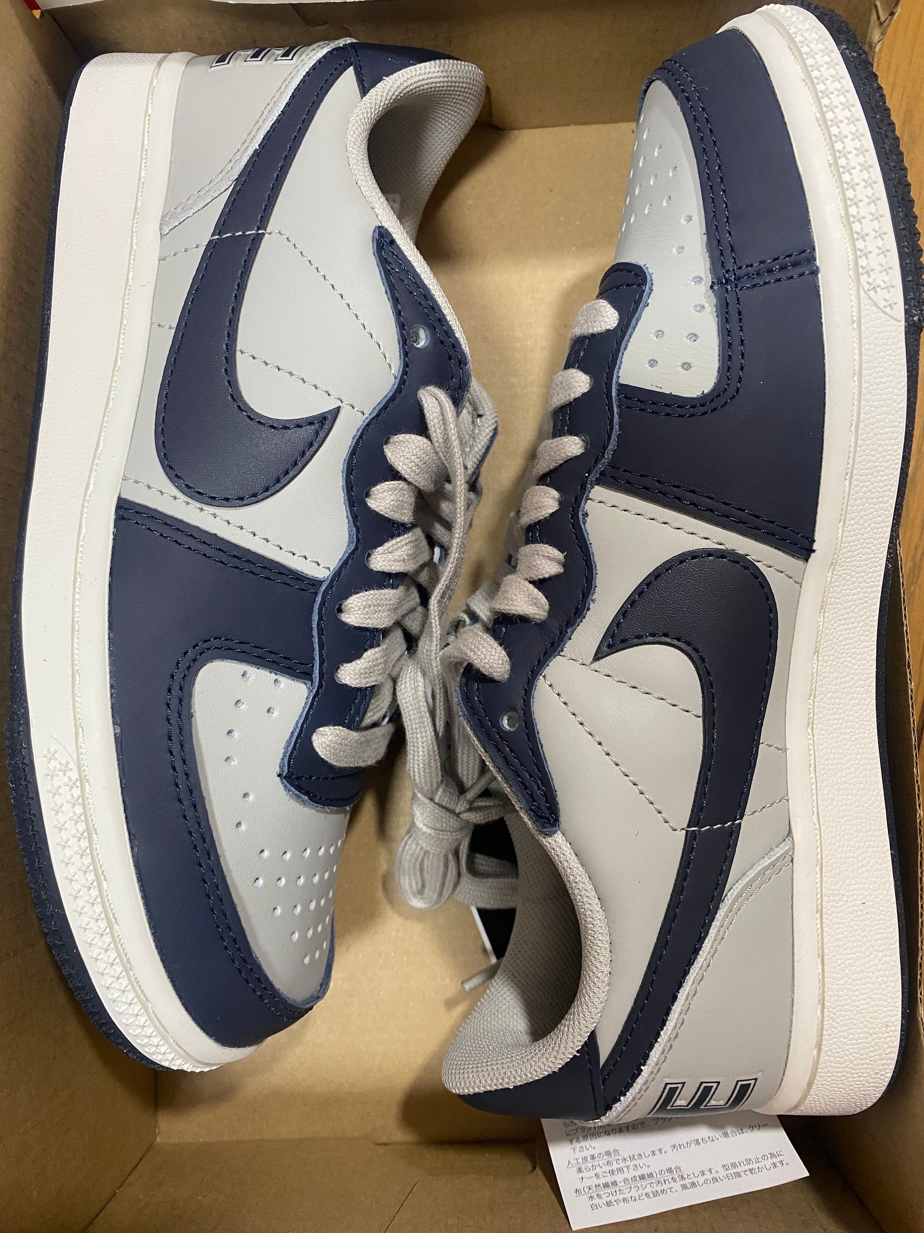 Nike Terminator Low "Dark Obsidian and Granite/Georgetown"(2023)