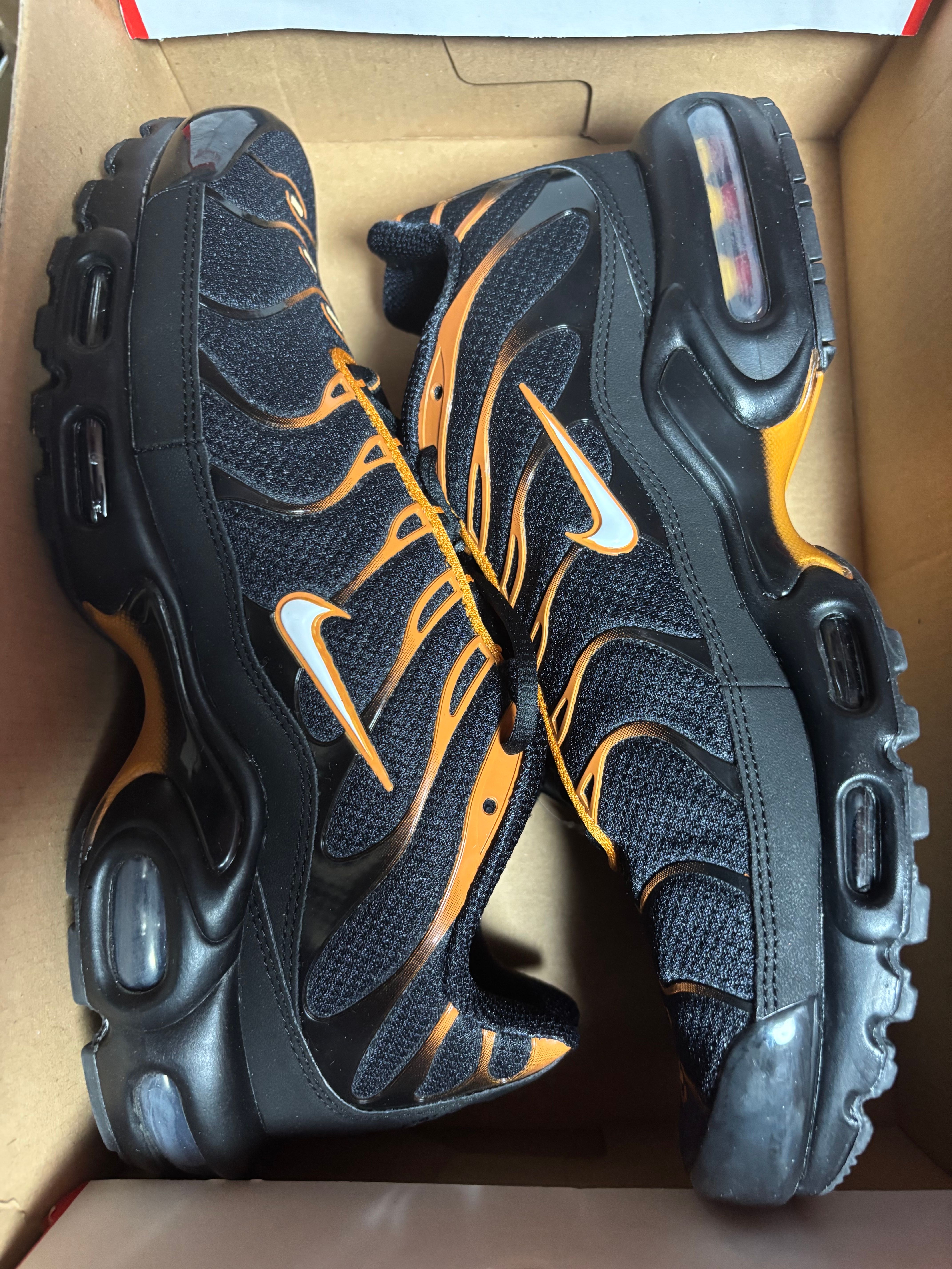 Nike Air Max Plus "Dark Obsidian/Monarch"