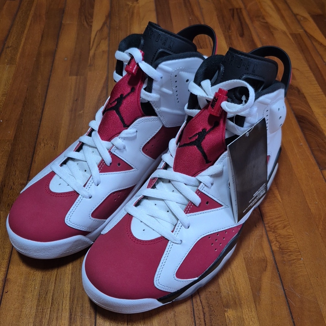 Nike Air Jordan 6 "Carmine" (2021)