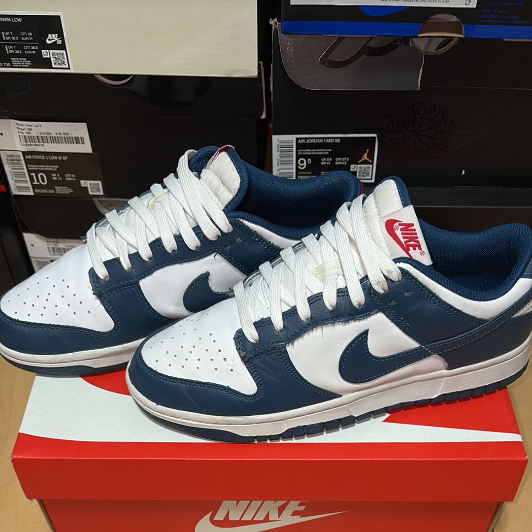 Nike Dunk Low "Valerian Blue"