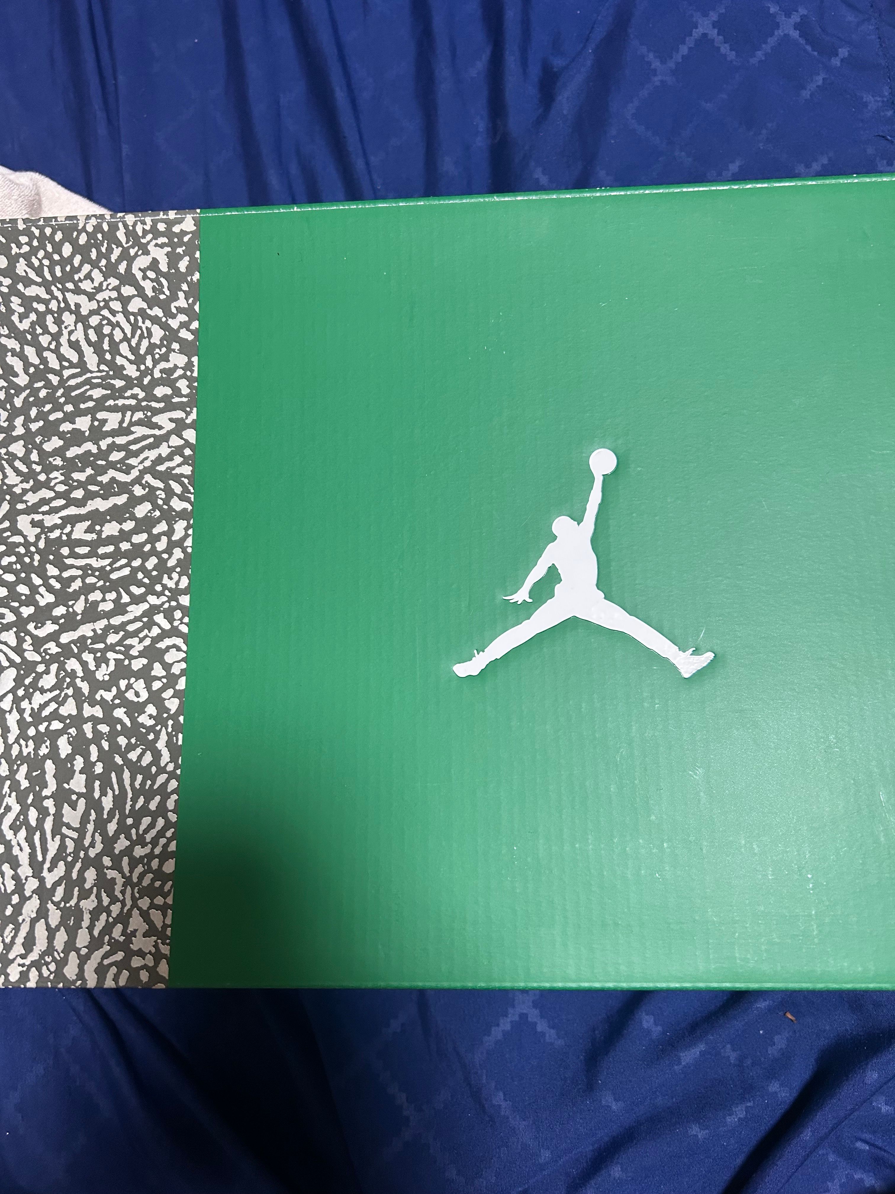 Nike Air Jordan 3 "Pine Green"