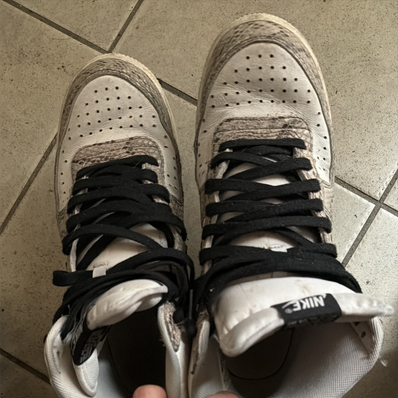 Nike Terminator High "Cocoa Snake"