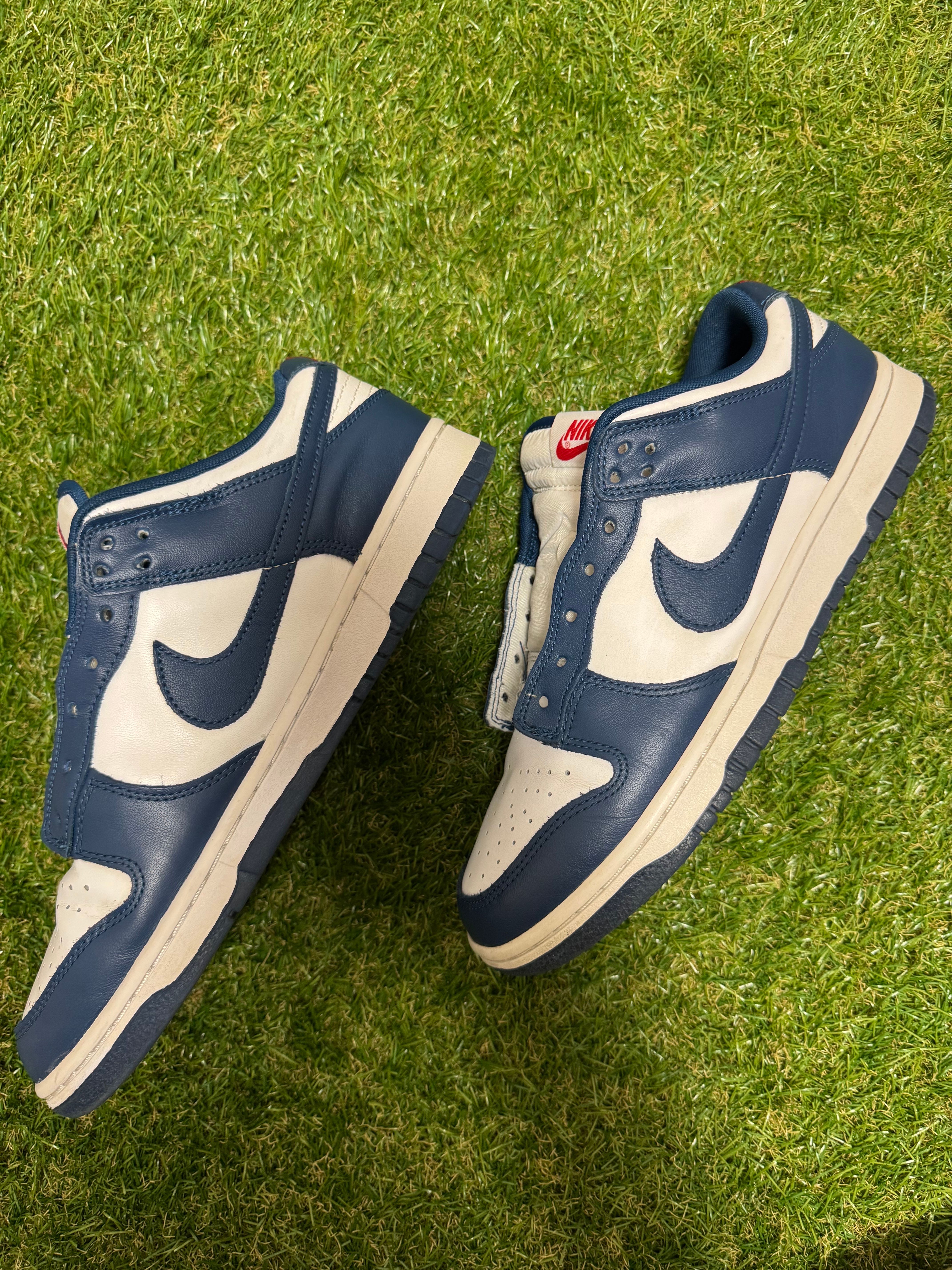 Nike Dunk Low "Valerian Blue"