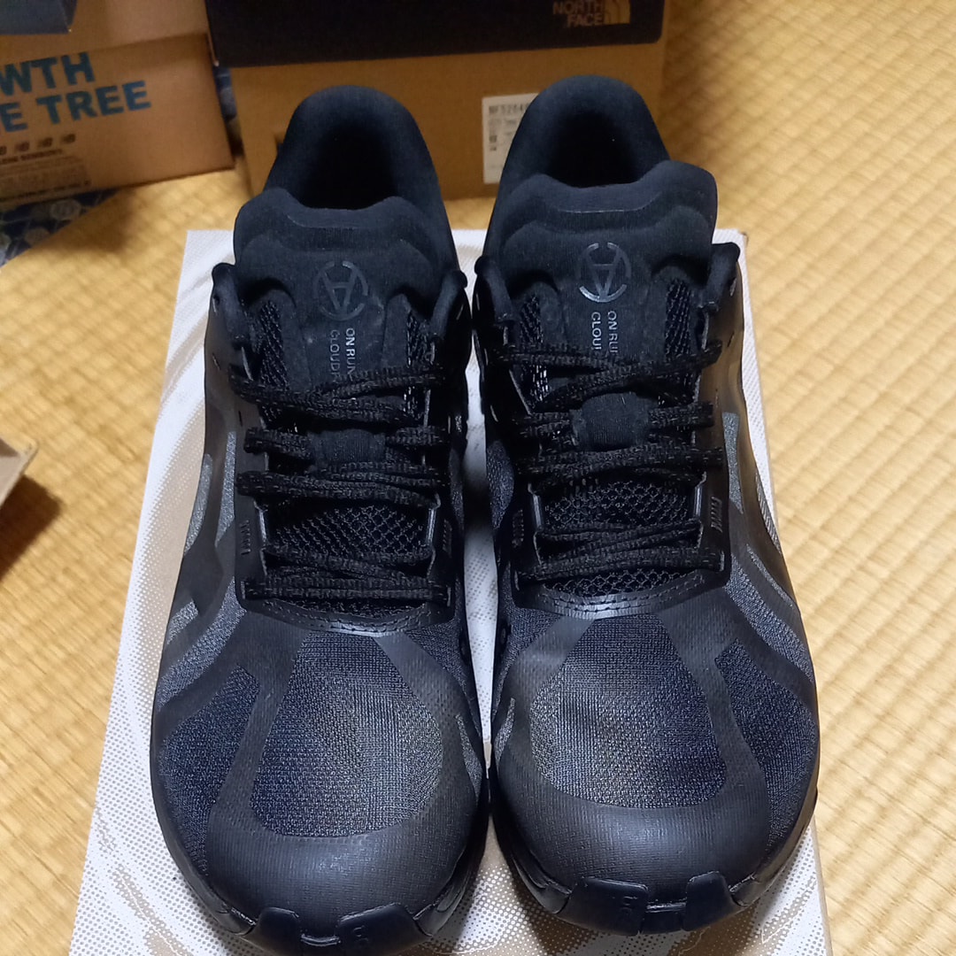 Slam Jam × On Cloudflow 5 "Gull/Black"