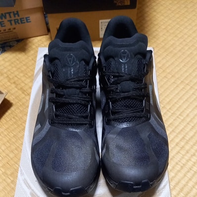 Slam Jam × On Cloudflow 5 "Gull/Black"