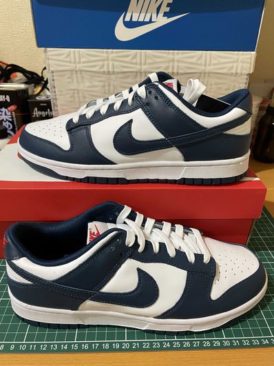 Nike Dunk Low "Valerian Blue"