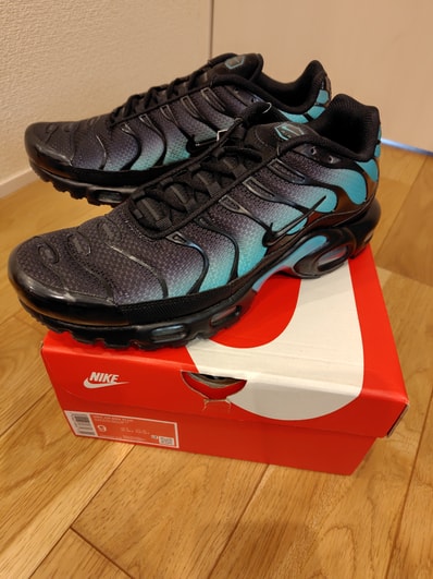 Nike Air Max Plus "Black/Aurora Green"