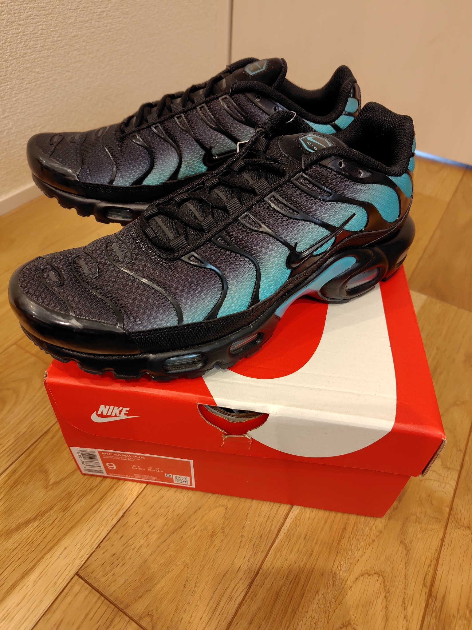 Nike Air Max Plus "Black/Aurora Green"