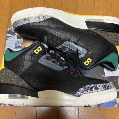 Nike Air Jordan 3 Retro SE "Animal Instinct 2.0/Safari"