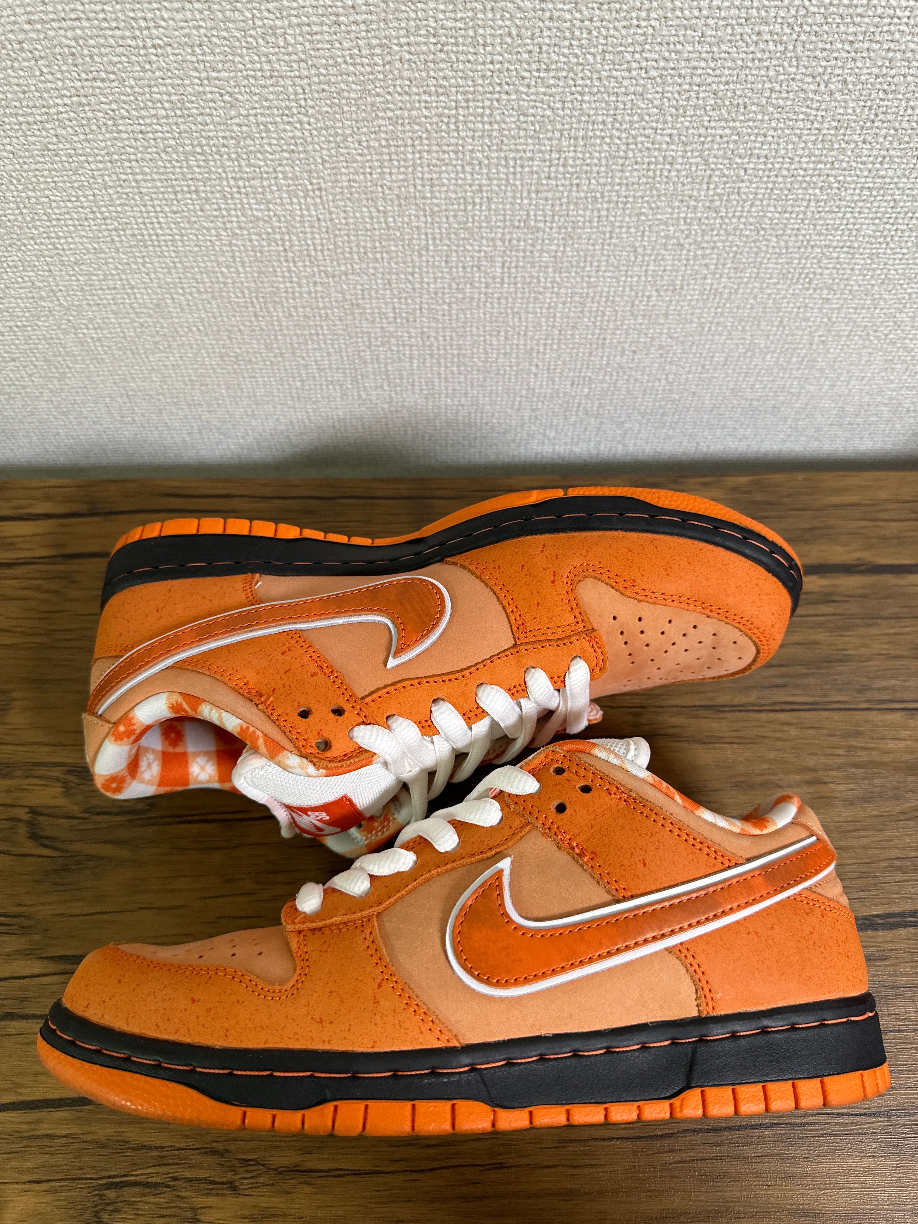Concepts × Nike SB Dunk Low SP 