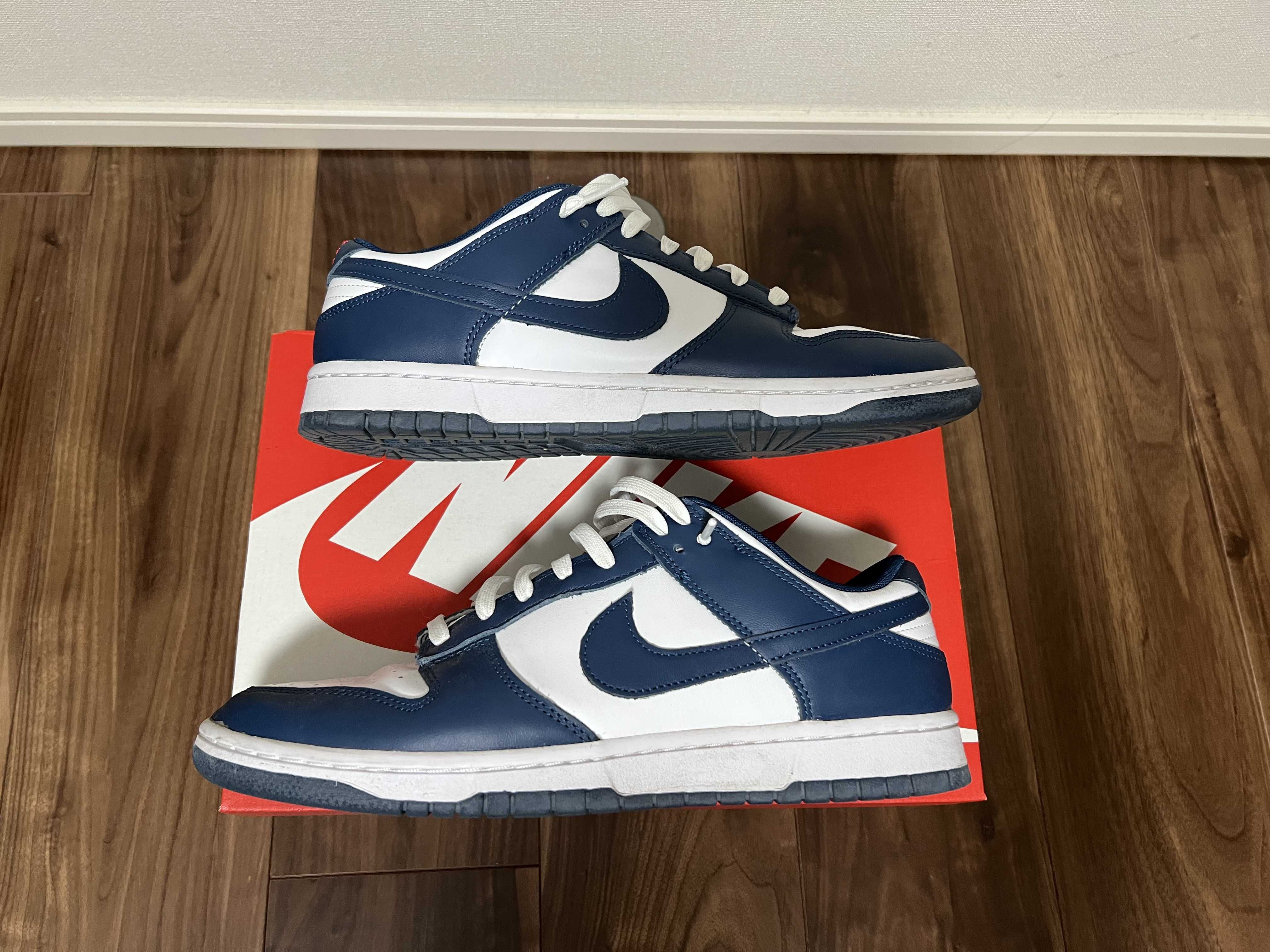 Nike Dunk Low "Valerian Blue"