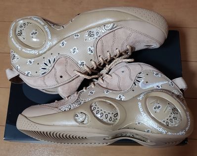 Supreme × Nike Air Zoom Flight 95 SP "Hemp/White"