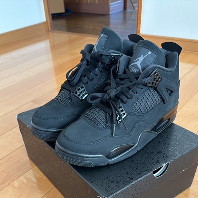 Nike Air Jordan 4 Retro OG "Black Cat" (2025)
