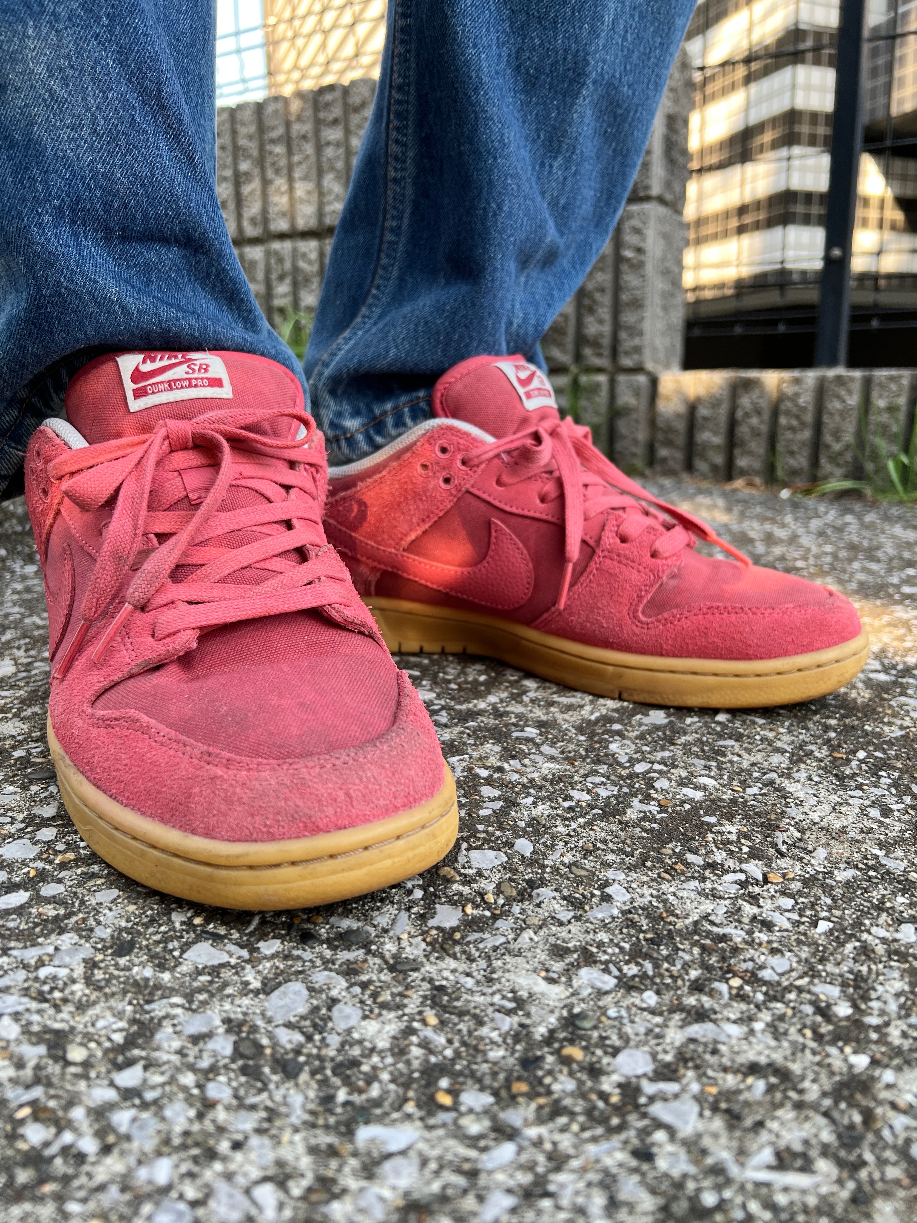 ナイキ SB ダンク ロー "アドビ"