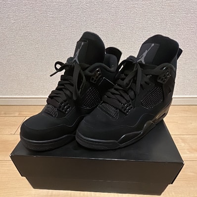 Nike Air Jordan 4 "Black Cat"