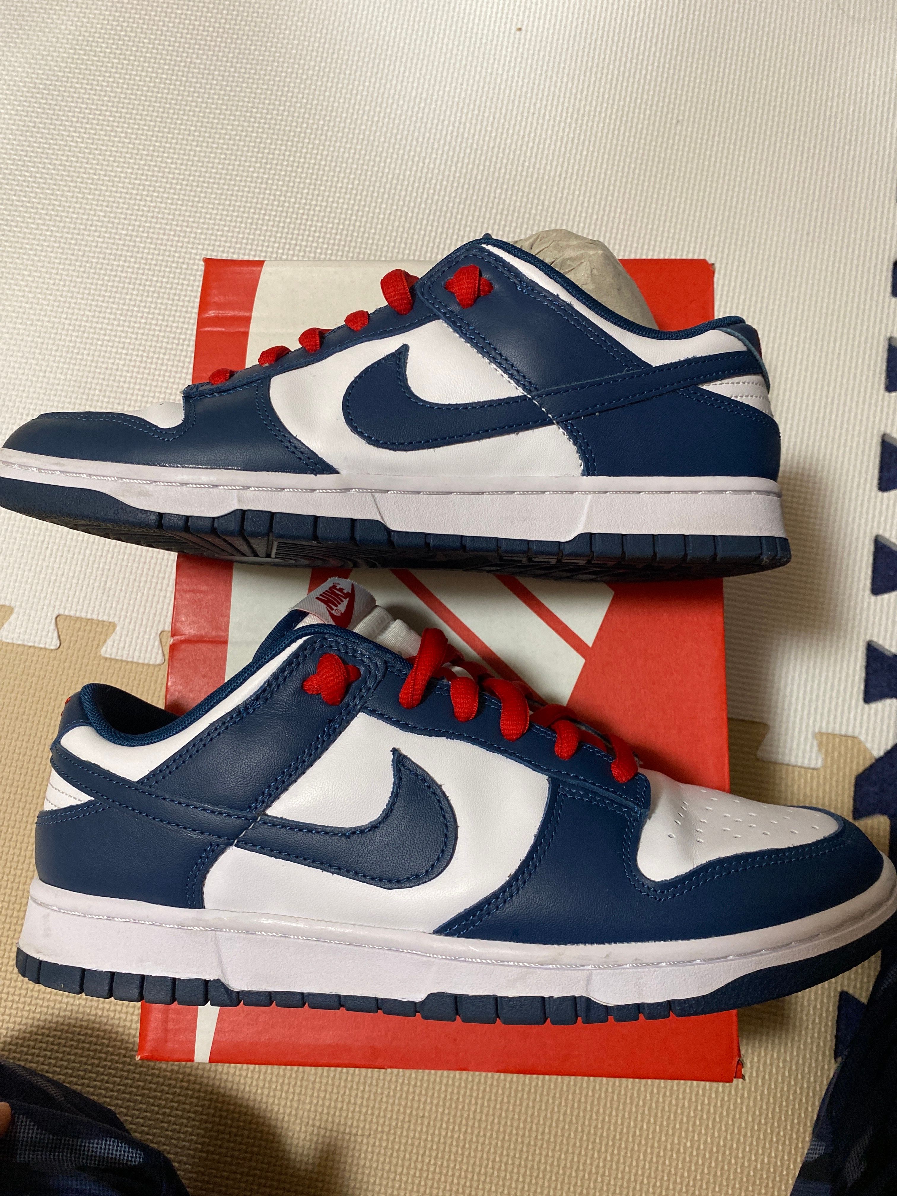 Nike Dunk Low "Valerian Blue"