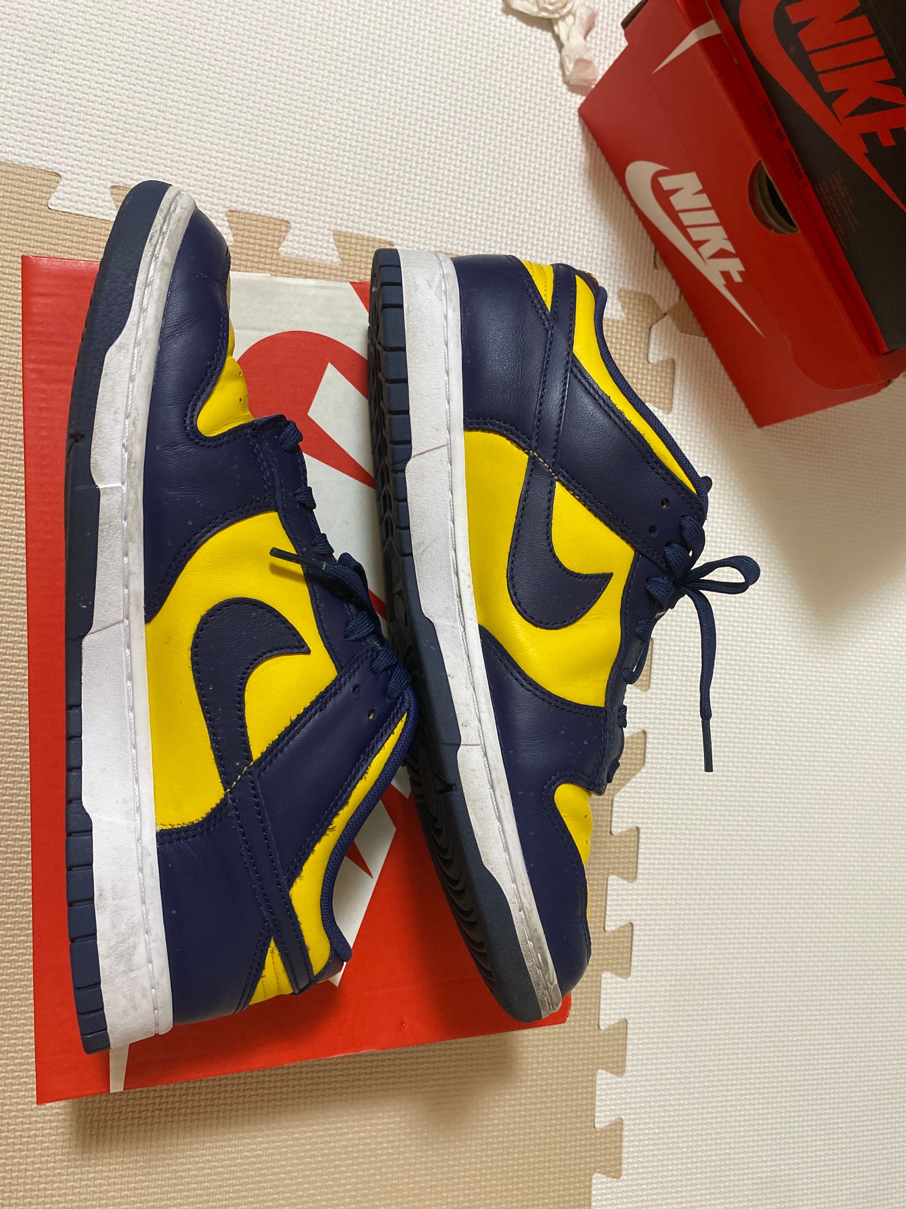 Nike Dunk Low "Michigan"