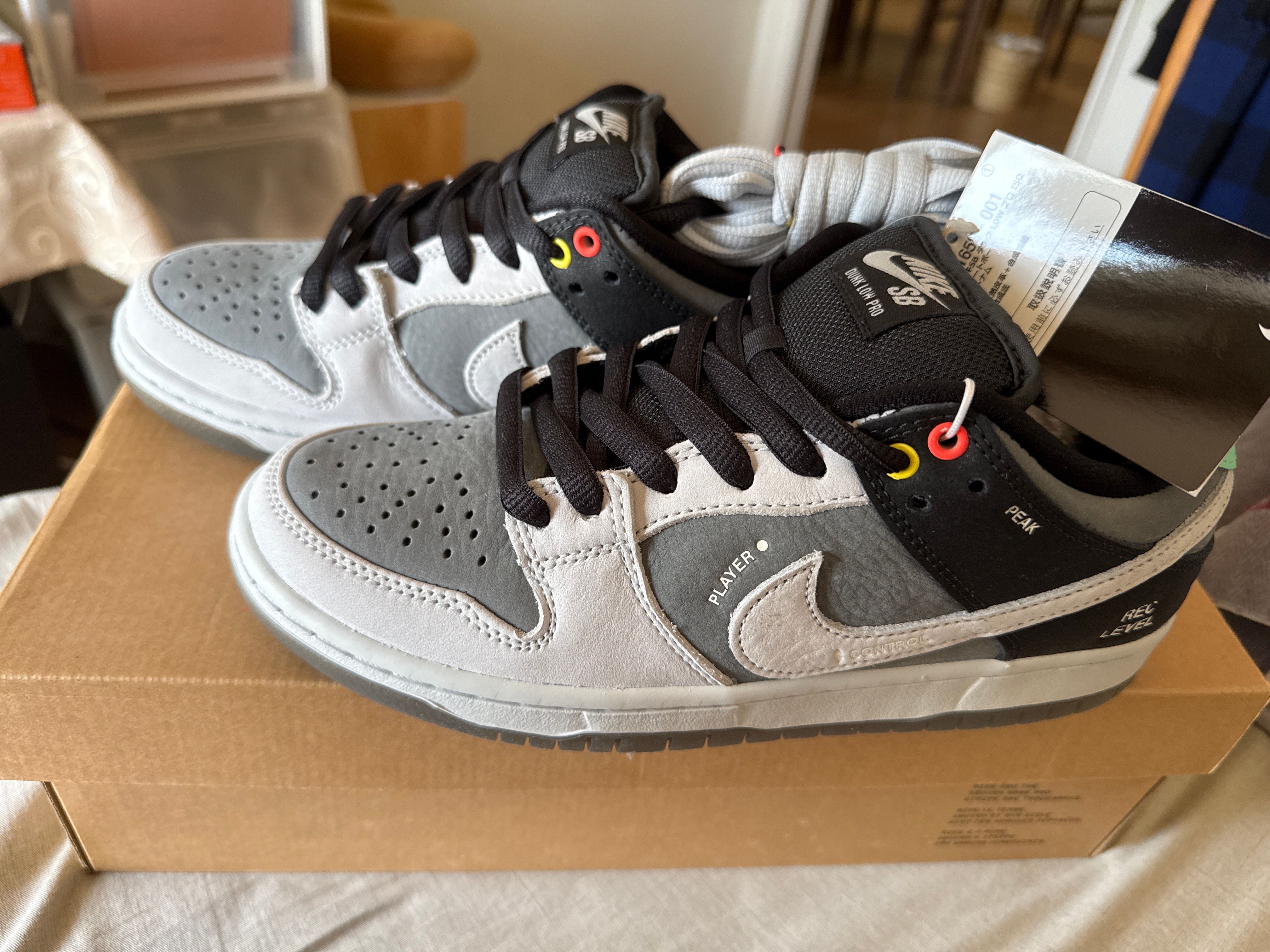 Nike SB Dunk Low Pro "VX1000 Camcorder"