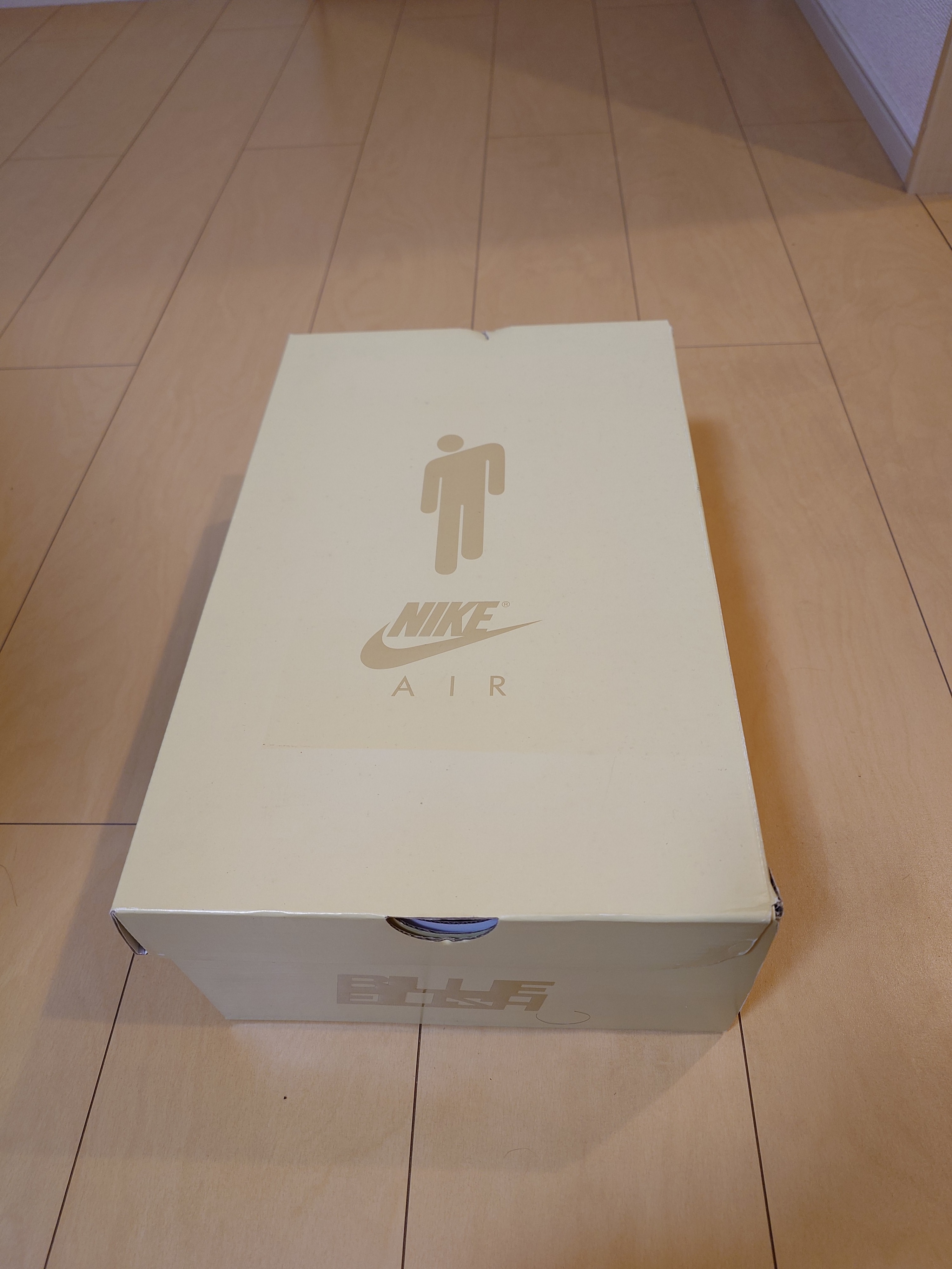 ビリー・アイリッシュ × ナイキ エアフォース1 ハイ '07 SP "マッシュルーム"