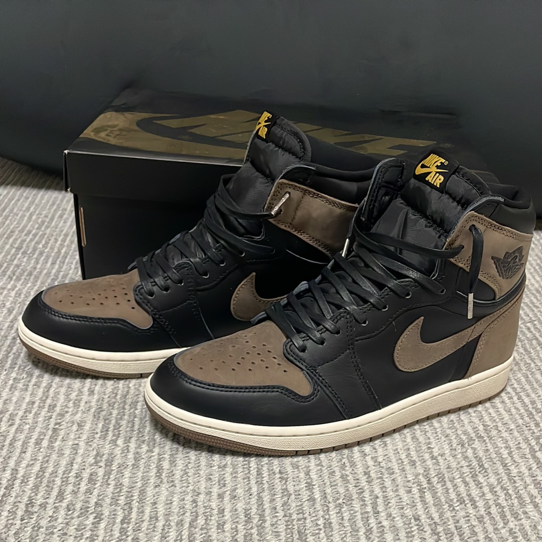 Nike Air Jordan 1 Retro High OG "Palomino"