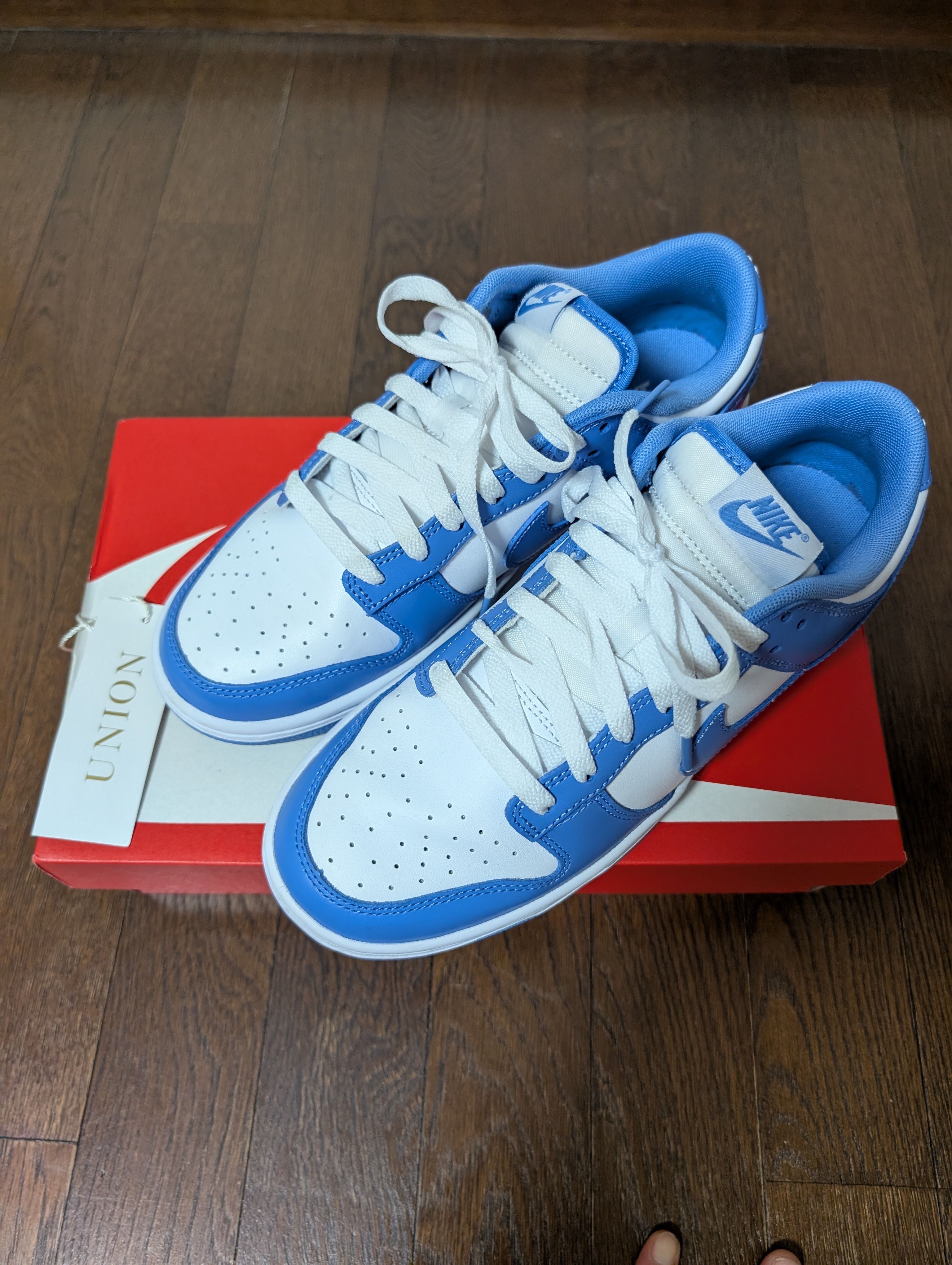 Nike Dunk Low Retro BTTYS "Polar Blue"
