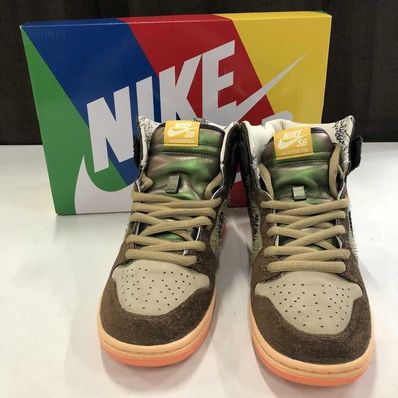 Concepts × Nike SB Dunk High "Duck"