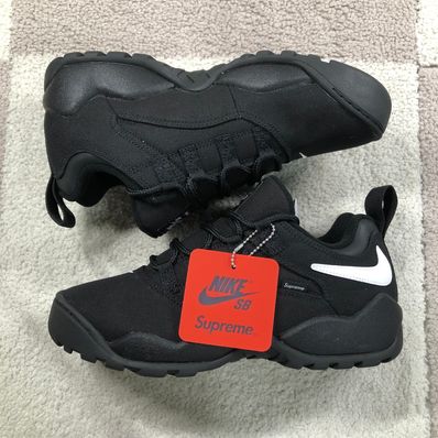 Supreme × Nike SB Darwin Low "Black"