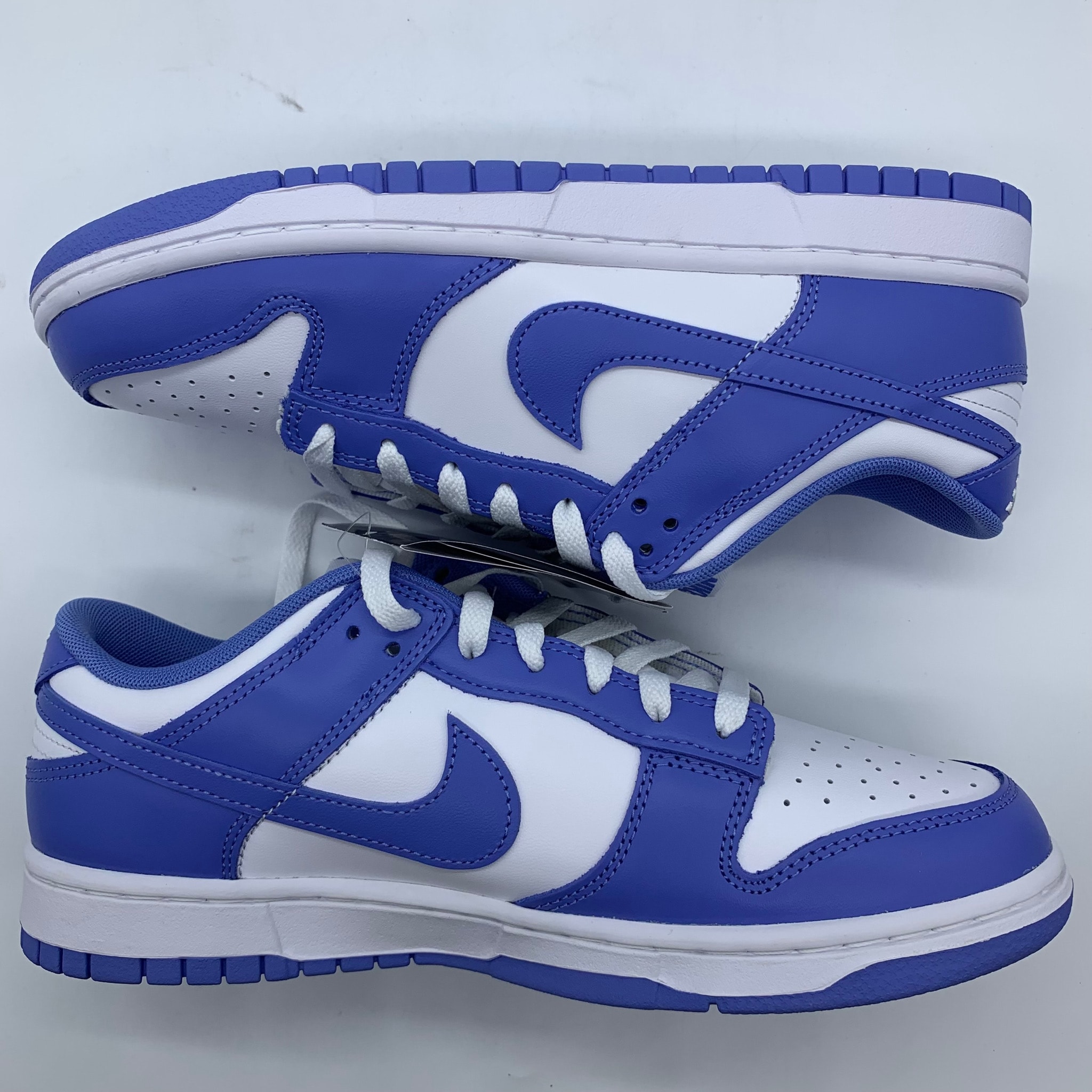 Nike Dunk Low Retro BTTYS "Polar Blue"