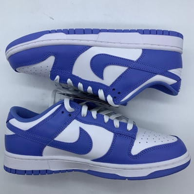 Nike Dunk Low Retro BTTYS "Polar Blue"