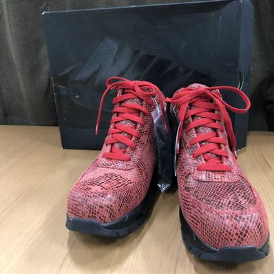 Supreme × Nike Air Max Goadome "FIRE RED"